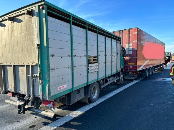 IMG-20221213-WA0014 bearbeitet groß.jpg